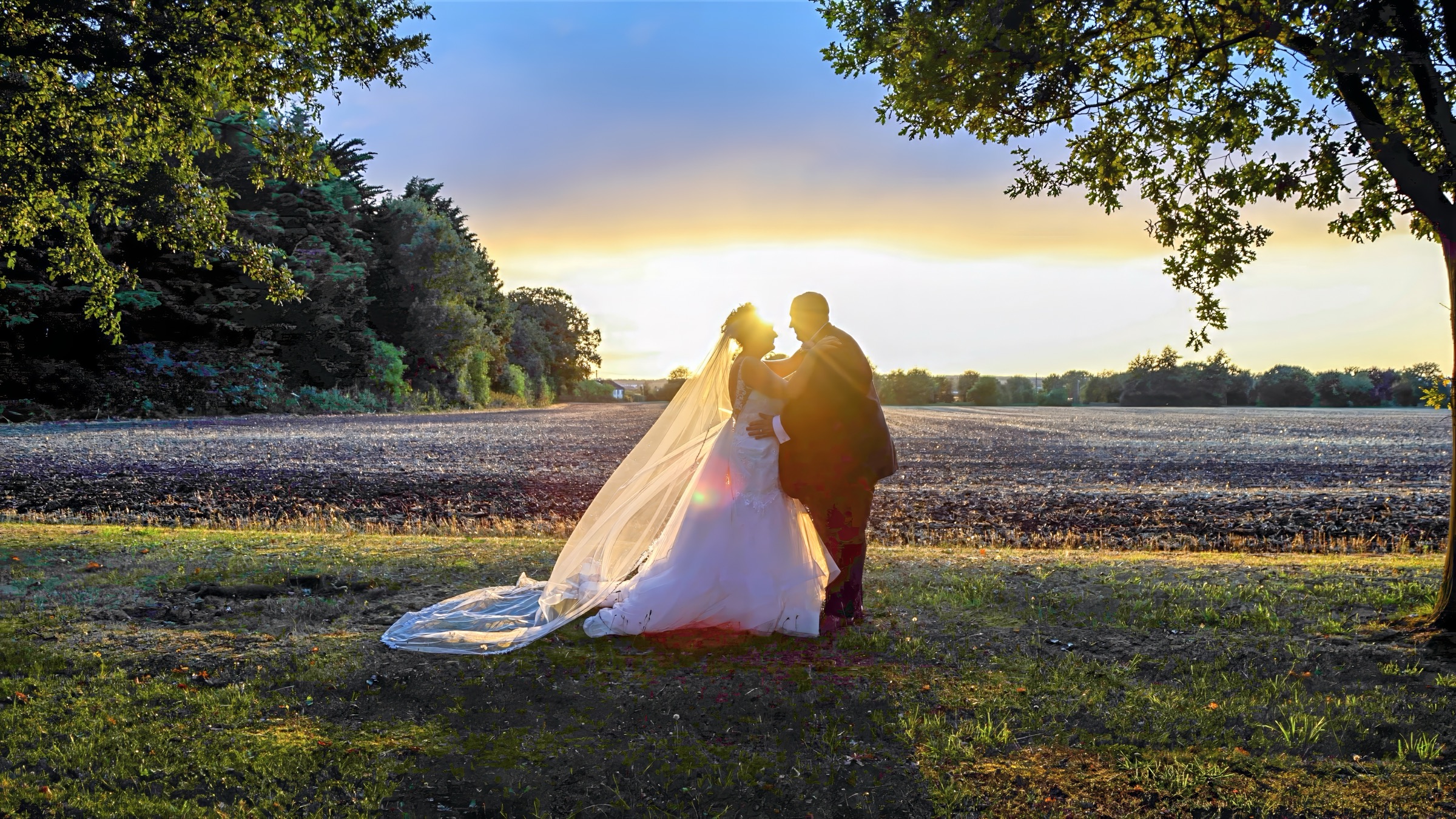 A couple under the trees at sunset in an Essex field